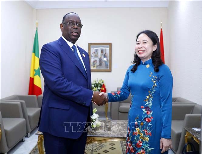 Vietnam promotes multilateral diplomacy at Francophone summit